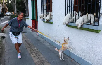 Este 21 de julio se celebra el Día Internacional del Perro. FOTO Manuel Saldarriaga