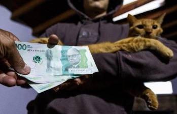 Hasta con las mascotas se han dado los casos de extorsión por devolución de bienes. Foto: Julio César Herrera Echeverri.