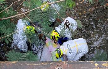 El levantamiento del cuerpo fue realizado el pasado sábado 24 de agosto. FOTO: El Colombiano