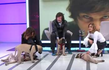 Los cuatro perros de Milei fueron clonados por laboratorio estadounidense. Foto: Pantallazo de youtube