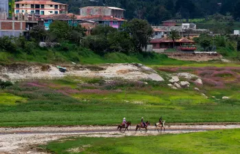 La reducción de lluvias por el fenómeno de El Niño podría afectar la producción agrícola y elevar el precio de varios alimentos básicos. FOTO JULIO CÉSAR ECHEVERRY