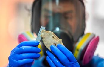 Cada año hay 10 millones de casos nuevos de demencia en todo el mundo. FOTO Camilo Suárez