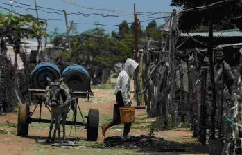 Comunidades de la Guajira rechazaron propuesta de reparación de Olmedo López. FOTO: Colprensa