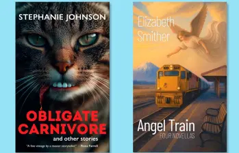 Estas son las portadas que hicieron que las autoras fueran sacadas de la competencia.