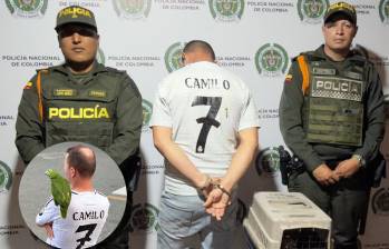 Durante el procedimiento también se presentó una situación relacionada con su identificación, pues en principio habría entregado un nombre y después suministró otro. FOTOS Policía Metropolitana. 