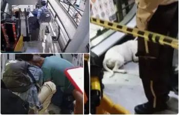 La emergencia ocurrió el pasado 15 de octubre, en el Centro Comercial Terminal del Norte. FOTOS: Cortesía Teleantioquia Noticias