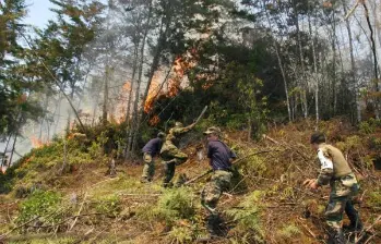 Los bomberos de Medellín luchan contra un incendio en la parte alta de El Poblado. Foto: Archivo EL COLOMBIANO - Róbinson Sáenz