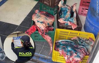 A la carne en mal estado le aplican un líquido de color azul para identificarla como no apta para el consumo. FOTOS Alcaldía de Bello.