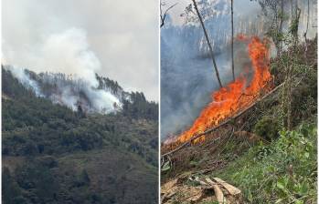 El fuego encontró además una plantación de pinos, un combustible que facilita su rápida propagación. FOTOS Alcaldía de La Estrella. 