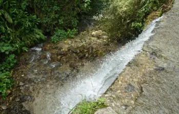 Las intervenciones abarcarán áreas estratégicas como la cuenca del río Arma, las subcuencas de El Buey, Piedras y Pantanillo. FOTO Alcaldía de Medellín. 