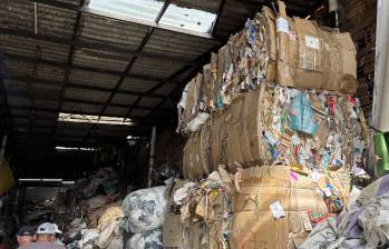 Según Asemar, el pasado 7 de octubre solicitó a Emvarias recoger las más de ocho toneladas bajo la categoría de rechazo, para trasladarlas al relleno sanitario y darles disposición final. FOTO Cortesía Asemar. 