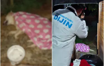 Un equipo técnico de la Dijin se desplazó a la escena del crimen para practicarle una necropsia al perro que fue asesinado. FOTOS: Cortesía Alcaldía de Rionegro