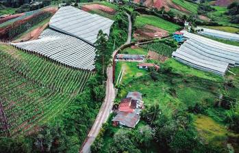 En la vereda La Sonadora, de Guatapé, se terminó una de las pocas obras de este tipo que se han entregado en Antioquia. FOTO Invías