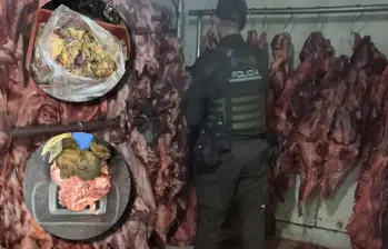 Así lucía parte de la carne incautada en Campo Valdés. FOTOS Policía Metropolitana. 