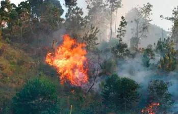Antioquia se prepara para enfrentar la temporada de más incendios forestales, ¿cuáles son las zonas más vulnerables?