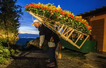 La noche silletera es uno de los eventos más importantes y tradicionales de la Feria de las Flores. FOTO: Julio César Herrera Echeverri