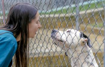 Descripción: Jornada de adopción del Centro de Bienestar Animal La Perla. Foto: Juan Antonio Sánchez Ocampo