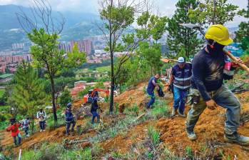 Desde 2025, las autoridades de Bello lanzaron una ofensiva para controlar la construcción de barrios irregulares en el Cerro Quitasol, una zona de gran importancia ambiental . FOTOS CORTESÍA ALCALDÍA DE BELLO 