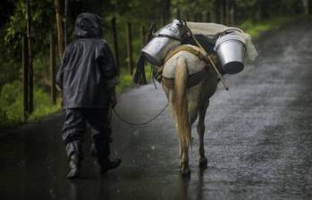 La situación también ha llamado la atención de organizaciones defensoras de derechos humanos, que han advertido sobre hechos de intimidación, controles armados y afectaciones a la población civil. FOTO: Camilo Suárez. 