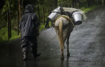 40 eventos de desplazamiento y 26 de confinamiento han ocurrido en el primer trimestre de 2026. Foto: Andrés Camilo Suárez Echeverry.