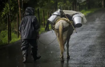 40 eventos de desplazamiento y 26 de confinamiento han ocurrido en el primer trimestre de 2026. Foto: Andrés Camilo Suárez Echeverry.