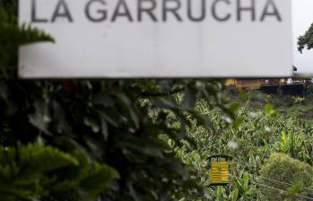 Imagen de referencia de una garrucha en el departamento de Antioquia. Foto: Julio César Herrera E.