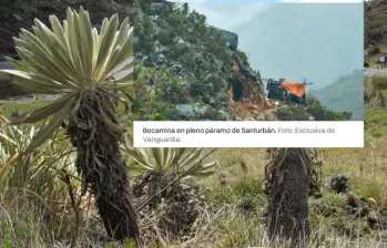 El páramo de Santurbán es un ecosistema estratégico para Santander y Norte de Santander por su aporte al abastecimiento de agua de millones de habitantes. FOTO: Colprensa y Vanguardia