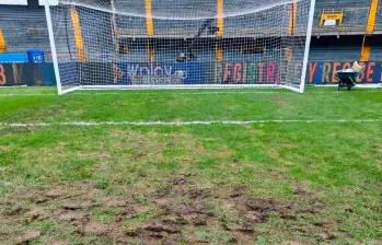 Así se ve hoy parte de la cancha del estadio El Campín luego del juego entre Millonarios y DIM que terminó el martes. FOTO @C8Benavides