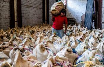 La Cooperativa de Caficultores de Andes reactivó cuatro puntos de compra de café y avanza en su proceso de recuperación tras superar gran parte de sus compromisos financieros. FOTO Julio César Herrera