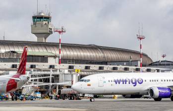 Wingo proyecta movilizar más de 703.000 pasajeros durante la temporada alta de mitad de año de 2026, impulsada por la apertura de cinco nuevas rutas nacionales e internacionales. FOTO Juan Antonio Sánchez