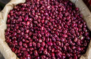 Los frijoles son los reyes de la dieta antioqueña. Estos pertenecen a la familia de las legumbres. Foto: EL COLOMBIANO