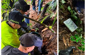 La droga fue hallada en un paraje boscoso, cerca del cauce de la quebrada Doña María, en límites del San Antonio de Prado e Itagüí. FOTOS: Policía