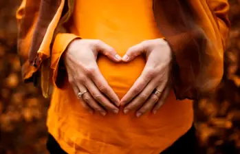 l primer trimestre es un periodo crítico: durante esta etapa comienzan a formarse los órganos del bebé y la placenta. Foto Agencia Sinc