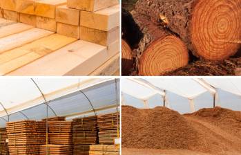 Con la nueva planta de aserrío de CAS, Antioquia ganará capacidad para producir piezas de alto valor agregado. Foto: Cortesía