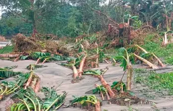 En la noche del pasado 18 de marzo, otro vendaval mató también animales, destruyó casas y cultivos. FOTO: Cortesía Vigía Stéreo