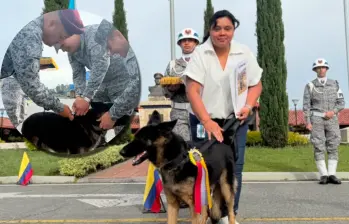Tras culminar su servicio, fue entregada a una familia que cumplió con los requisitos para adoptarla. Foto: cortesía Fuerza Aeroespacial Colombiana.