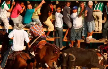 Cientos de animales, sobre todo caballos, han muerto en las corralejas de Caucasia, las más sanguinarias en Antioquia. FOTO: CORTESÍA