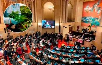 La iniciativa se hundió en junio de 2023 en el último de sus ocho debates. Se busca hacer una excepción a un artículo de la Constitución para crear un mercado legal de esta sustancia, al que solo podrán acceder mayores de edad. FOTO: EL COLOMBIANO