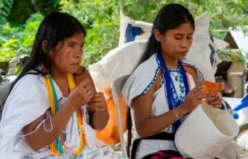 La mayoría de los pueblos indígenas de América descienden de un grupo que llegó hace unos 15.000 años a la región. FOTO: Colprensa. 