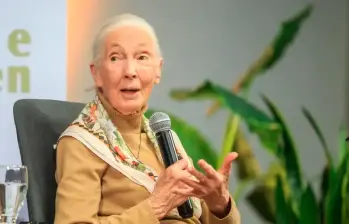 Jane Goodall durante su visita a Medellín en 2024. FOTO: Camilo Suárez