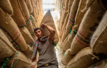 Mientras que entre 2019 y 2024, las áreas sembradas de café en Antioquia, Caldas, Quindío y Risaralda se redujeron entre un 7% y un 10%, el buen momento actual abre espacio para crecer el cultivo. FOTO: Julio Herrera.