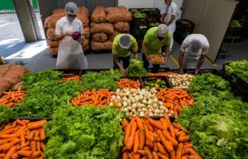 Según la ONU, el mercado tardaría al menos cuatro meses en recuperar la normalidad en el suministro de fertilizantes. Foto: Julio Herrera
