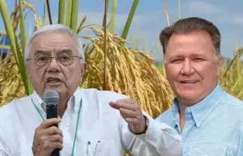 Presidente de la junta directiva de Fedearroz, César Augusto Saavedra; y el ministro de Agricultura, Indalecio Dangond. Foto: Cortesía 