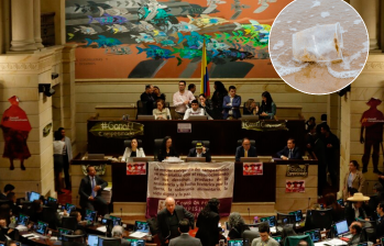 En el Congreso reclaman que la demora en la reglamentación de esta ley estaría dando vía libre a que se sigan contaminando los mares y ríos con plásticos de un solo uso. FOTO COLPRENSA