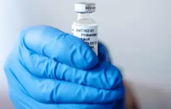 El virus shamonda se propaga por Europa y ya circula en 52 departamentos de Francia. Foto: EFE