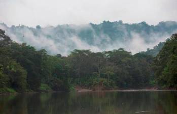 Colombia es sexto país más deforestado del mundo, después de Perú. Foto: Manuel Saldarriaga. 