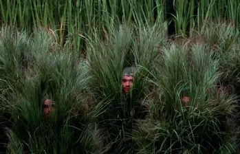 Decenas de bailarines disfrazados de arbustos hicieron parte de la escenografía del show de medio tiempo de Bad Bunny en el Super Bowl. FOTO: Getty Images. 