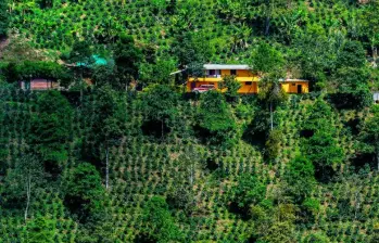 Procuraduría regañó al Ministerio de Ambiente sobre las zonas de reserva del Suroeste antioqueño. FOTO: JULIO CÉSAR HERRERA