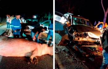 Así terminó el hipopótamo involucrado en el accidente de tránsito ocurrido el pasado 11 de abril. FOTO: cortesía.