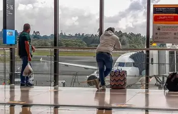 Usualmente esos dispositivos electrónicos pueden cargar varias veces un celular e incluso computadores portátiles. Foto: Juan Antonio Sánchez, EL COLOMBIANO 